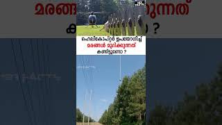 ഹെലികോപ്റ്റർ ഉപയോഗിച്ച് മരങ്ങൾ മുറിക്കുന്നത് കണ്ടിട്ടുണ്ടോ  Helicopter tree line trimming [upl. by Rutan]