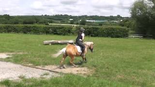 Reining Horse Goes Cross Country Daz XC 25th June [upl. by Aimil]