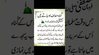 Urdu Quotes ShortsUrdu QuotesShorts VideoIslamic QuotesHazrat MuhammedViralshorts shortsfeed [upl. by Parnas]