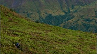 Fishhook Trail at Hatcher Pass on our Alaska Adventure [upl. by Annaicul]