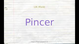 How to pronounce pincer [upl. by Ayekim]