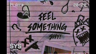 SHY  Feel Something Lyrics [upl. by Eoj926]