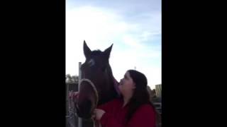 Make you own Headcollar  Part 2  Rolled Throat  Bridle work Tutorial [upl. by Durrett]