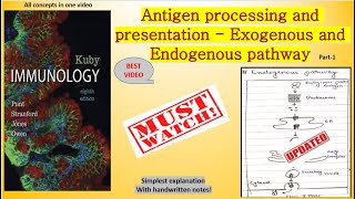 Antigen processing and presentation Exogenous and Endogenous pathway immunology csirnet [upl. by Nasia]