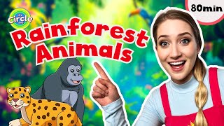 Rainforest Animals For Toddlers  Miss Sarah Sunshine  Educational Videos For Toddlers [upl. by Yvan]