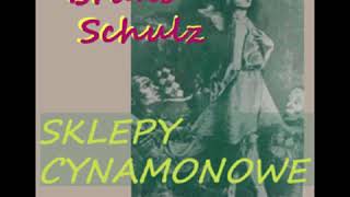 Sklepy cynamonowe  Bruno Schulz Audiobook PL [upl. by Zolner]