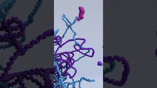 Are mutations good or bad genetics animation geneticdiversity facts biology mutation [upl. by Onaicul622]