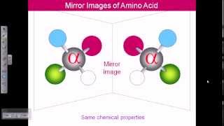 Amino acid structures part 1 [upl. by Alegnasor]