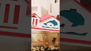 Tetra fish videos 😀💗 [upl. by Ahtnamas]