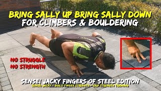 Bring Sally Up  Push Up Challenge  Finger Strength For Bouldering  Sterke Vingers Voor Boulderen [upl. by Viens]