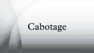 Cabotage [upl. by Anilyx]