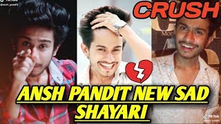 Ansh pandit tiktok shayari  Ansh pandit new sad shayari  crush shayari [upl. by Hsiekal]