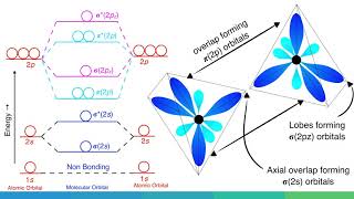 Molecular Orbital Diagram of B2 C2 and N2 Molecules [upl. by Curt190]