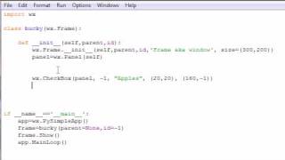 wxPython Programming Tutorial  12  Check Boxes [upl. by Karlene]