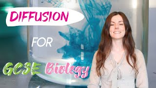 DIFFUSION GCSE Biology 91  Combined Sci Revision amp Questions [upl. by Mohorva672]