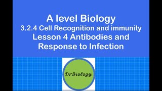 Lesson 4 Antibodies and Response to Infection ALevel Biology [upl. by Acisey]