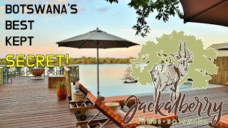 Jackalberry Chobe Botswana One of Chobes best kept secrets [upl. by Norreht54]