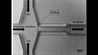 Inexpensive dropletbased microfluidic platform [upl. by Mychael990]