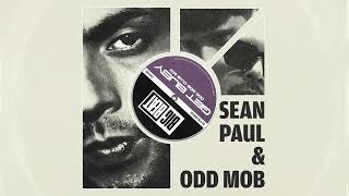 Sean Paul amp Odd Mob  Get Busy Odd Mob Club Mix [upl. by Territus711]