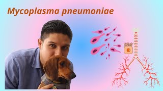 Mycoplasma pneumoniae [upl. by Dimitris]