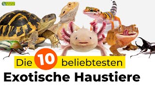 Die 10 beliebtesten exotischen Haustiere [upl. by Lorola]