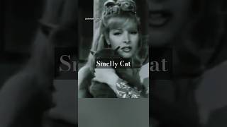 Phoebes Smelly Cat Song phoebebuffay phoebe friendstvshow friends friendstvseries shorts [upl. by Zondra]