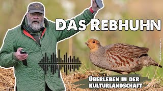 Das Rebhuhn  Überleben in der Kulturlandschaft  jagdtalk  Der Jagd Podcast von Markus Stifter [upl. by Tahp]