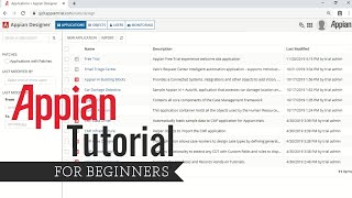 APPIAN TUTORIAL BUILDING A SIMPLE TIMESHEET APPLICATION [upl. by Paryavi]