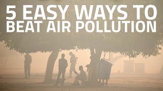 How to Protect Yourself From Air Pollution [upl. by Sardella740]