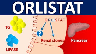 Orlistat  Mechanism side effects precautions amp uses [upl. by Inalej]