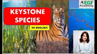 Keystone Species l Keystone Species in English l Keystone Species UPSC [upl. by Eta614]