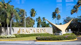 Touring Bacardi Rum Distillery [upl. by Yartnoed250]