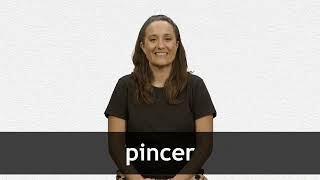 How to pronounce PINCER in French [upl. by Marleen854]