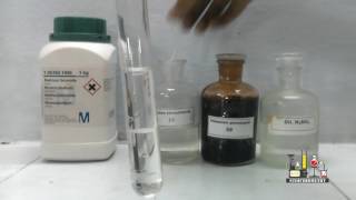 Layer Test for Bromide using Sodium Bromide [upl. by Frederico]