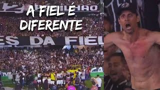 LINDA FESTA DA TORCIDA DO CORINTHIANS APÓS CLASSIFICAÇÃO CONTRA O GRÊMIO [upl. by Abigail909]