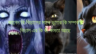 প্রেত আত্মার সাথে বিড়ালের কি সম্পর্ক can cat sense ghost  story box ভূত cat [upl. by Letreece225]