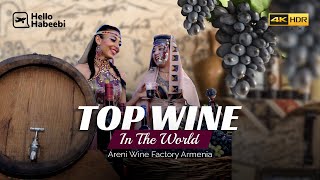 Get a Tour of the Amazing Areni Wine Factory Armenia  Oldest Wine Cellars in the World [upl. by Leveroni]