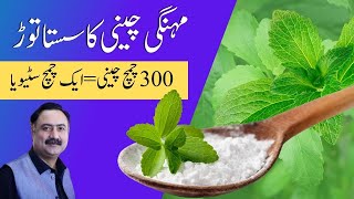 1 Spoon Stevia  300 Spoons of Sugar  Stevia Powder with 0 Calories [upl. by Izmar]