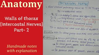 Walls of thorax  Intercostal Nerves  Part 2 Anatomy By Namita Ussara [upl. by Aicilev]