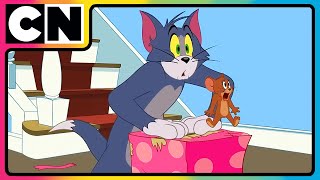 Tom amp Jerry 😺🐭  Tom’s Craziest Traps for Jerry 😝 Compilation 🤩 Cat and Mouse  cnindia [upl. by Janith]