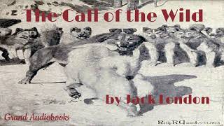 The Call of the Wild by Jack London Full Audiobook Learn English Audiobooks [upl. by Moyra]