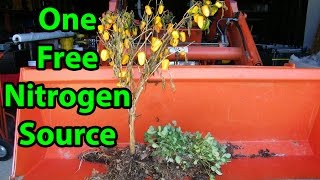 Video Response to MIgardener MYTH from MY Back to Eden No Till Gardening Method 101 with wood chips [upl. by Julis]