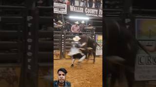 Bull riding part 5 🤯 bull rodeo bullriding toro [upl. by Einned]