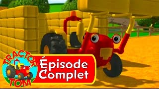 Tracteur Tom  29 Cache Cache épisode complet  Français [upl. by Namar41]