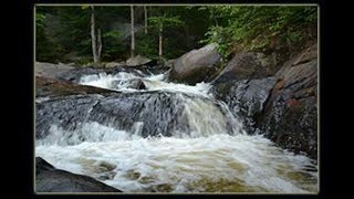 Experience Arrowhead Ontario Parks camping [upl. by Judas]