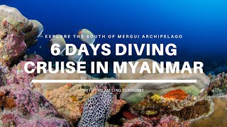 Explore the South of Mergui  6 days diving trip in Myanmar [upl. by Ahsinut]