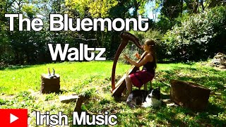 The Bluemont Waltz trad irlandais  Harp Celtic Video  Live [upl. by Drallim]