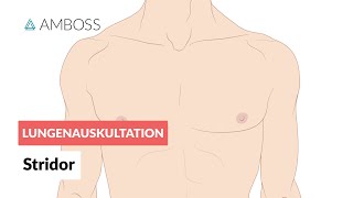 Stridor  Lungenauskultation  Folge 8  Atemgeräusche [upl. by Norita182]