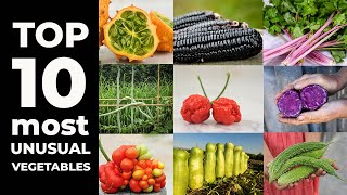 TOP 10 Most Unusual Vegetables [upl. by Hauhsoj]