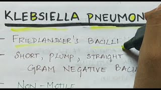 Klebsiella pneumoniae  Microbiology  Handwritten notes [upl. by Areivax]